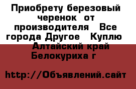 Приобрету березовый черенок  от производителя - Все города Другое » Куплю   . Алтайский край,Белокуриха г.